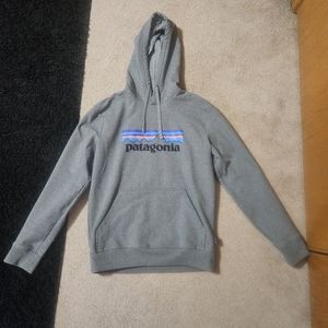 Patagonia Hoodie